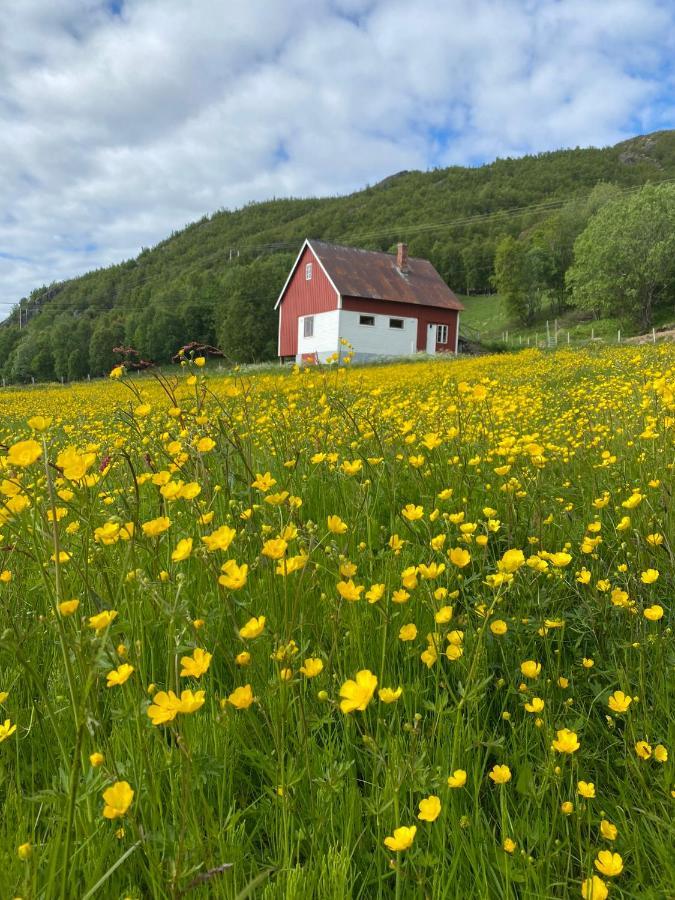 Unique And Charming Holiday Home With Fantastic Sea Views Tromsø Exteriör bild