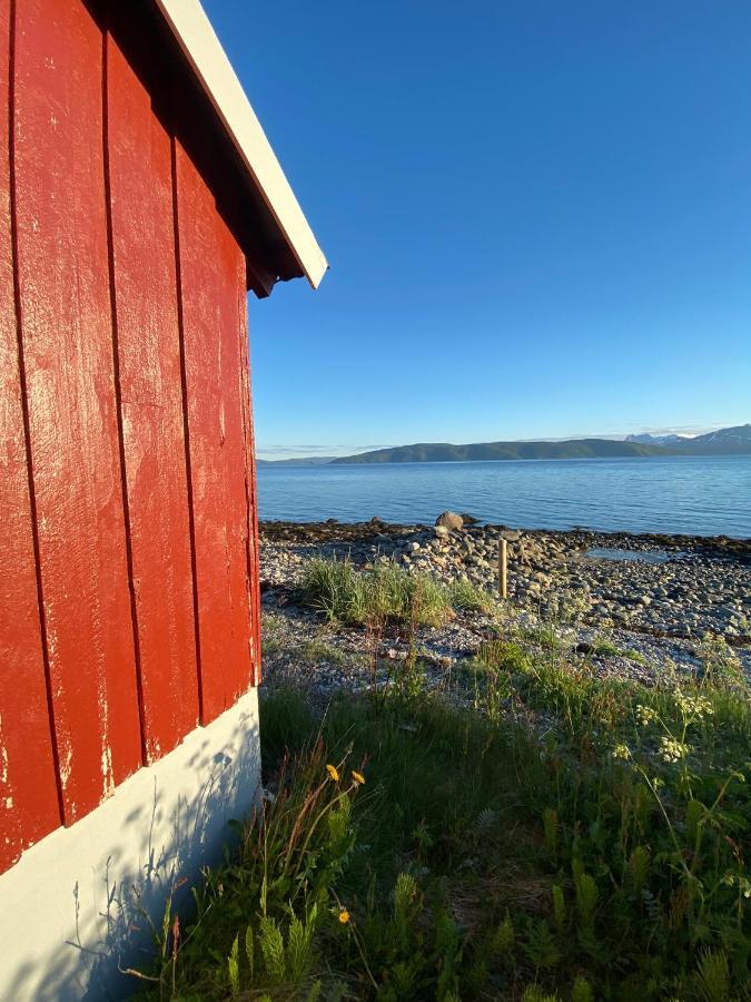 Unique And Charming Holiday Home With Fantastic Sea Views Tromsø Exteriör bild