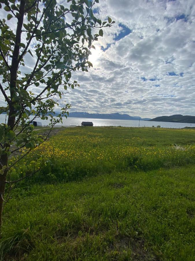 Unique And Charming Holiday Home With Fantastic Sea Views Tromsø Exteriör bild
