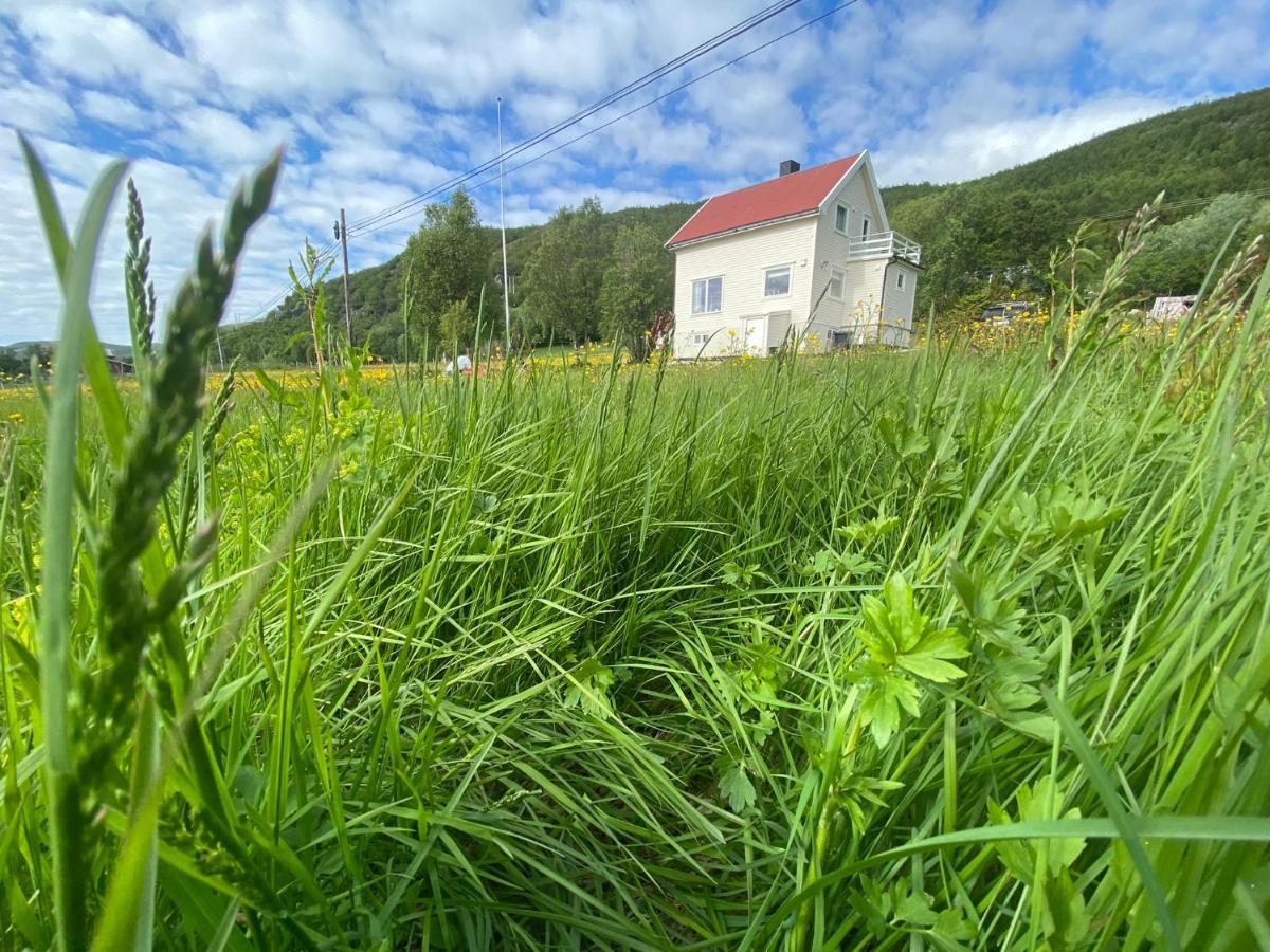 Unique And Charming Holiday Home With Fantastic Sea Views Tromsø Exteriör bild