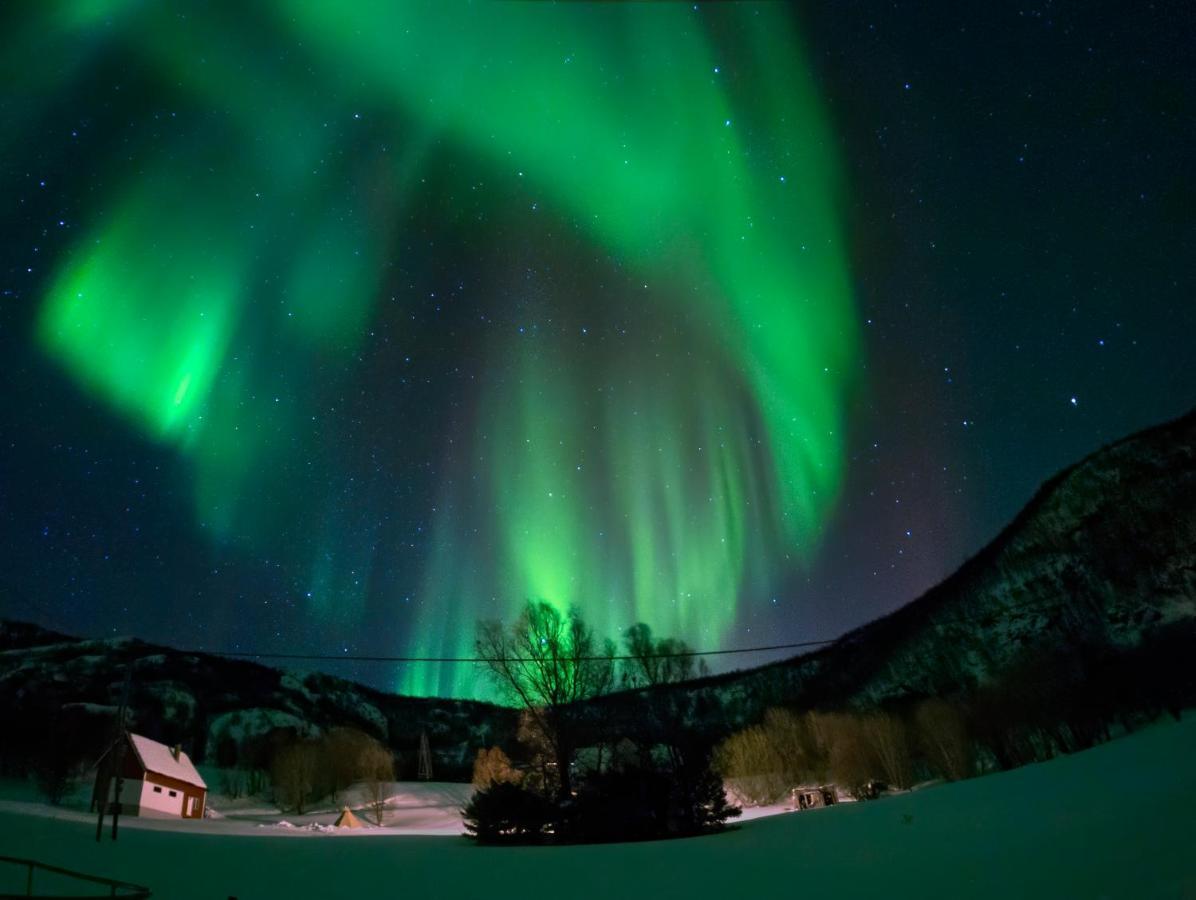 Unique And Charming Holiday Home With Fantastic Sea Views Tromsø Exteriör bild